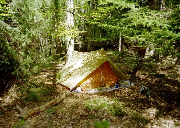 A tent in the woods