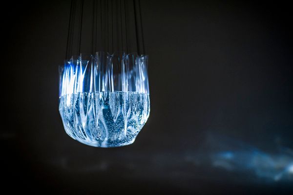 Image for Light Waves