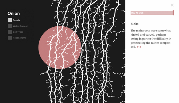 Open Roots – interactive_details