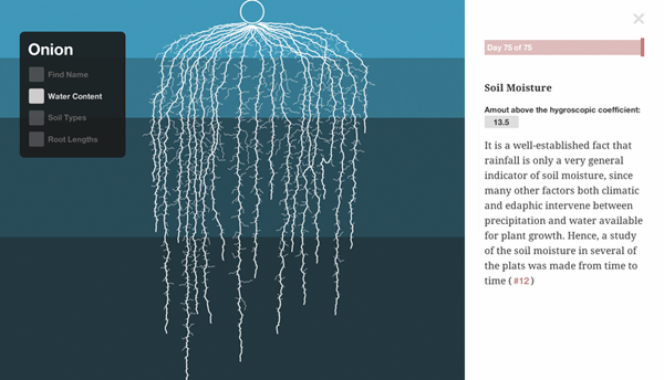 Open Roots – interactive_water