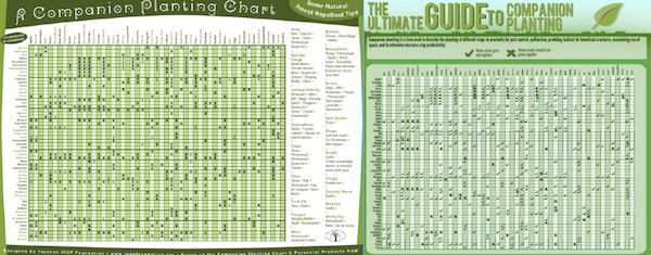 Companion Planting Tables
