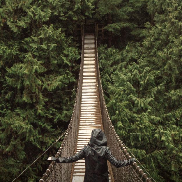 Image for Analysis Eins