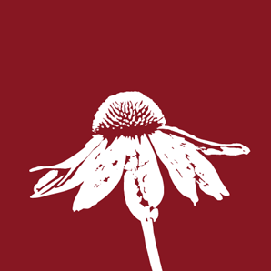 Image for Staudengärterei Forssman